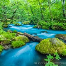 ルピナス　店長