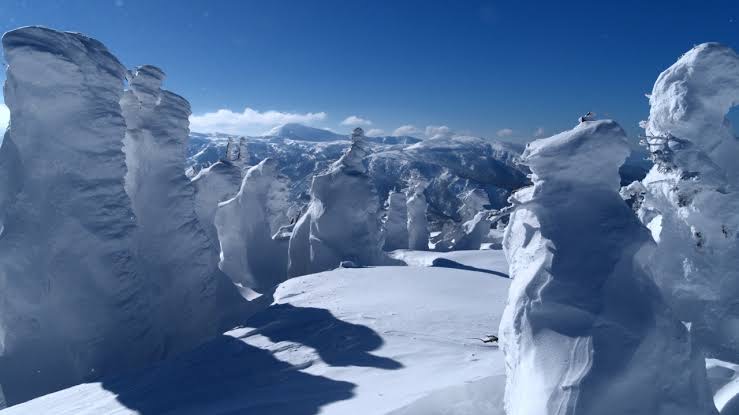 ルピナス　店長
