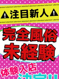 エンジェルシリカ(台東区吉原) 緊急体験入店